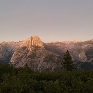 Meet your Posher, Delish